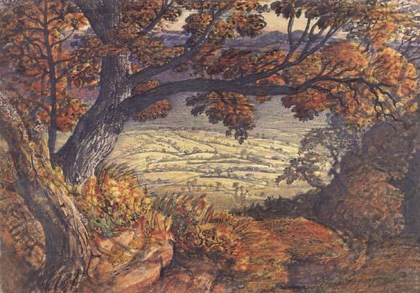 The Weald of Kent, Samuel Palmer